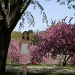 cherrydress
