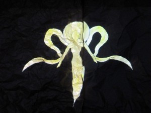 projection7